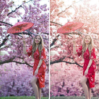 Floral Fay Presets