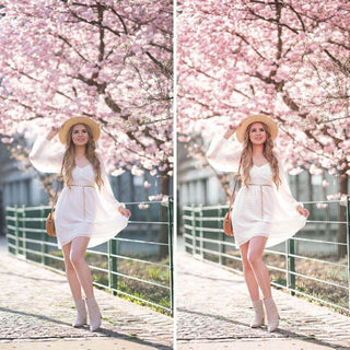 Floral Fay Presets