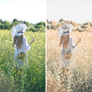 Aesthetic Collection - Preset Bundle