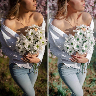 Spring Story Presets