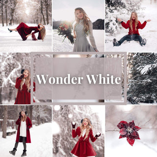 Winter Bundle - Preset Bundle